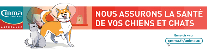 ASSURANCE ANIMAUX - CMMA Actu N°65 septembre 2025