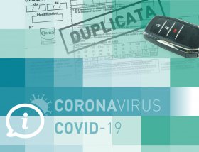 Demandez la copie numérique de votre carte verte