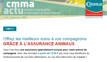 CMMA Actu N°65 - Septembre 2025